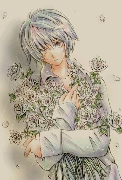 anime anime